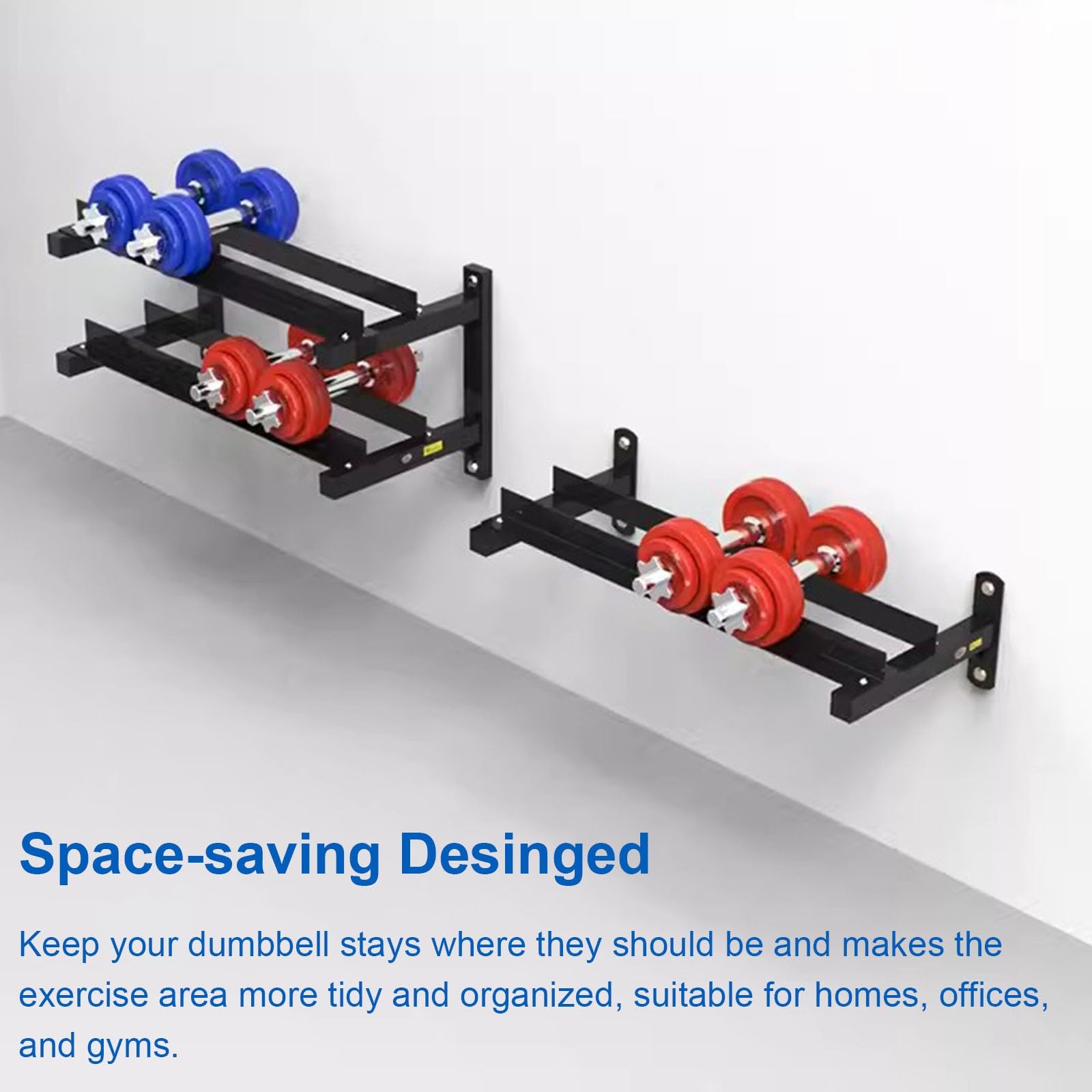 Heavy-Duty 2-Tier Wall-Mounted Dumbbell Storage Rack