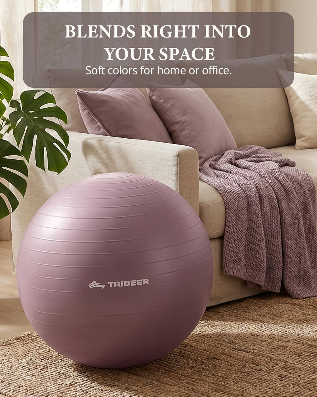 Trideer Stability Exercise Ball for Core and Balance Training
