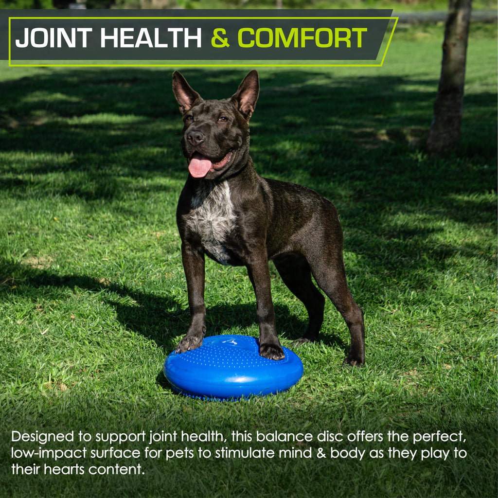 ProsourceFit 14-Inch Balance Disc Trainer with Pump